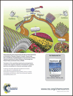 Graphical abstract: Inside back cover