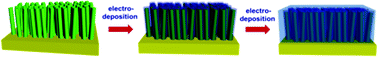 Graphical abstract: Integrated SnO2 nanorod array with polypyrrole coverage for high-rate and long-life lithium batteries