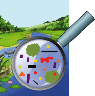 Graphical abstract: Progress towards the validation of modeled environmental concentrations of engineered nanomaterials by analytical measurements