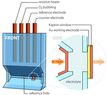 Graphical abstract: Direct in situ observation of ZnO nucleation and growth via transmission X-ray microscopy