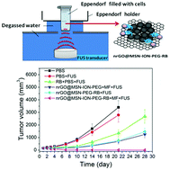 Graphical abstract: A theranostic nrGO@MSN-ION nanocarrier developed to enhance the combination effect of sonodynamic therapy and ultrasound hyperthermia for treating tumor