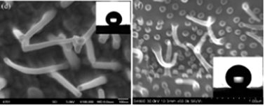 Graphical abstract: Bio-inspired fabrication of copper oxide nanowire films with switchable wettability via a facile thermal oxidation method