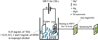 Graphical abstract: Ethanol electro-oxidation on nanoworm-shaped Pd particles supported by nanographitic layers fabricated by electrophoretic deposition