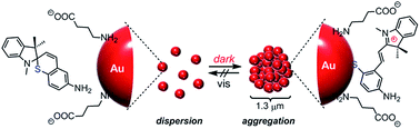 Graphical abstract: Amino-substituted spirothiopyran as an initiator for self-assembly of gold nanoparticles