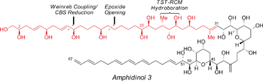 Graphical abstract: A highly convergent synthesis of the C1–C31 polyol domain of amphidinol 3 featuring a TST-RCM reaction: confirmation of the revised relative stereochemistry