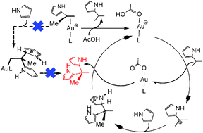 Graphical abstract: The different roles of a cationic gold(i) complex in catalysing hydroarylation of alkynes and alkenes with a heterocycle