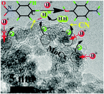 Graphical abstract: An efficient hydrogenation catalyst in sulfuric acid for the conversion of nitrobenzene to p-aminophenol: N-doped carbon with encapsulated molybdenum carbide