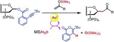 Graphical abstract: Gold(i)-catalyzed C-glycosylation of glycosyl ortho-alkynylbenzoates: the role of the moisture sequestered by molecular sieves