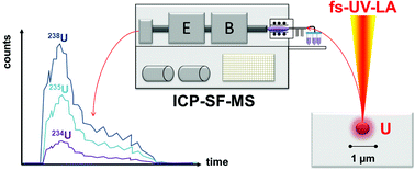 Graphical abstract: Determination of the isotopic composition of micrometric uranium particles by UV femtosecond laser ablation coupled with sector-field single-collector ICP-MS