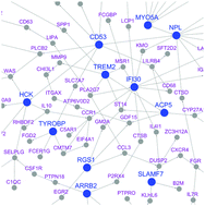 Graphical abstract: Molecular and genetic inflammation networks in major human diseases