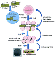 Graphical abstract: Effects of graphene oxide on the geopolymerization mechanism determined by quenching the reaction at intermediate states