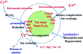 Graphical abstract: Facile synthesis of tea waste/Fe3O4 nanoparticle composite for hexavalent chromium removal from aqueous solution