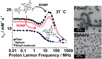 Graphical abstract: Polymeric Gd-DOTA amphiphiles form spherical and fibril-shaped nanoparticle MRI contrast agents