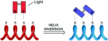 Graphical abstract: In situ control of polymer helicity with a non-covalently bound photoresponsive molecular motor dopant