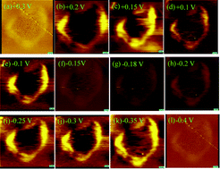 Graphical abstract: Simultaneous observation of surface- and edge-states of a 2D topological insulator through scanning tunneling spectroscopy and differential conductance imaging