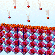 Graphical abstract: Charge attachment induced transport – bulk and grain boundary diffusion of potassium in PrMnO3