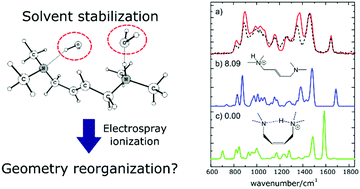 Graphical abstract: Probing the geometry reorganization from solution to gas-phase in putrescine derivatives by IRMPD, 1H-NMR and theoretical calculations