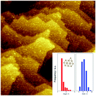 Graphical abstract: A comprehensive study of catalytic, morphological and electronic properties of ligand-protected gold nanoclusters using XPS, STM, XAFS, and TPD techniques