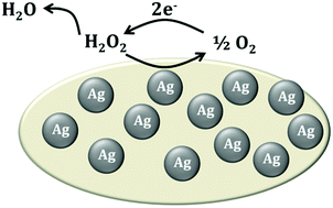 Graphical abstract: The mechanism of electrochemical reduction of hydrogen peroxide on silver nanoparticles
