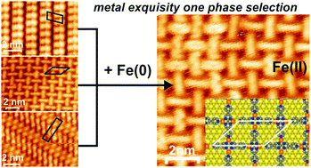 Graphical abstract: Polymorphism and metal-induced structural transformation in 5,5′-bis(4-pyridyl)(2,2′-bispyrimidine) adlayers on Au(111)