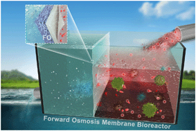 Graphical abstract: Anaerobic biodegradation and decolorization of a refractory acid dye by a forward osmosis membrane bioreactor