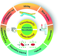 Graphical abstract: Recent progress of particle migration in viscoelastic fluids