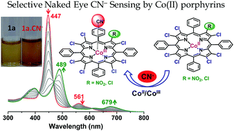 Graphical abstract: Synthesis and structural, photophysical, electrochemical redox and axial ligation properties of highly electron deficient perchlorometalloporphyrins and selective CN− sensing by Co(ii) complexes