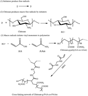 Graphical abstract: Advances in chitosan-based superabsorbent hydrogels