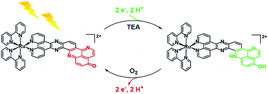 Graphical abstract: An artificial photosynthetic system for photoaccumulation of two electrons on a fused dipyridophenazine (dppz)–pyridoquinolinone ligand