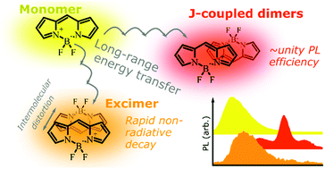 Graphical abstract: Intermolecular states in organic dye dispersions: excimers vs. aggregates