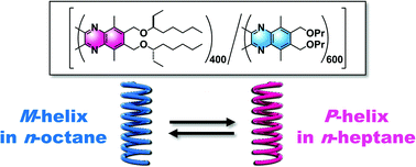 Graphical abstract: Abnormal sergeants-and-soldiers effects of poly(quinoxaline-2,3-diyl)s enabling discrimination of one-carbon homologous n-alkanes through a highly sensitive solvent-dependent helix inversion