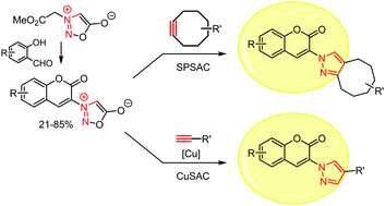 Graphical abstract: Sydnone-coumarins as clickable turn-on fluorescent sensors for molecular imaging