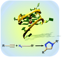 Graphical abstract: The application of click chemistry for targeting quadruplex nucleic acids