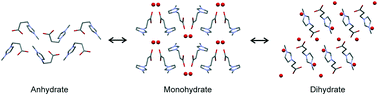 Graphical abstract: Computational and analytical approaches for investigating hydrates: the neat and hydrated solid-state forms of 3-(3-methylimidazolium-1-yl)propanoate