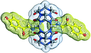 Graphical abstract: Host–guest complexes of cucurbit[6]uril with phenethylamine-type stimulants
