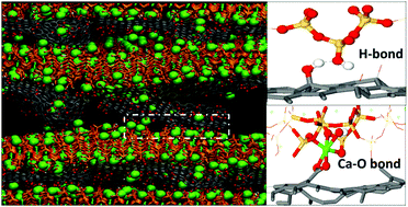 Graphical abstract: Reactive force-field molecular dynamics study on graphene oxide reinforced cement composite: functional group de-protonation, interfacial bonding and strengthening mechanism
