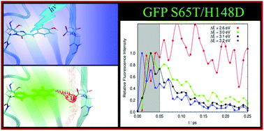 Graphical abstract: Ultrafast action chemistry in slow motion: atomistic description of the excitation and fluorescence processes in an archetypal fluorescent protein