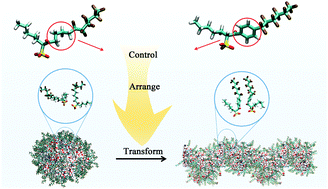 Graphical abstract: Shape transition of water-in-CO2 reverse micelles controlled by the surfactant midpiece