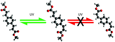 Graphical abstract: The role of symmetric functionalisation on photoisomerisation of a UV commercial chemical filter