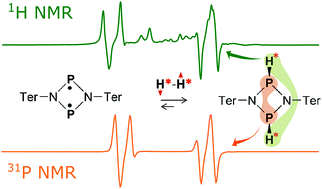 Graphical abstract: Parahydrogen-induced polarization with a metal-free P–P biradicaloid