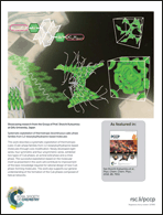 Graphical abstract: Inside back cover