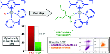 Graphical abstract: A potential method to improve the in vitro cytotoxicity of half-sandwich Os(ii) complexes against A2780 cells
