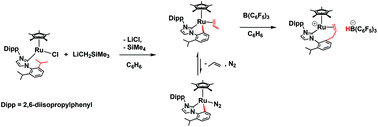 Graphical abstract: Synthesis, structures, and reactivity studies of cyclometalated N-heterocyclic carbene complexes of ruthenium