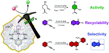 Graphical abstract: Unveiling reactive metal sites in a Pd pincer MOF: insights into Lewis acid and pore selective catalysis