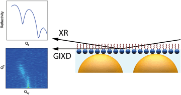 Graphical abstract: Nanoparticle-induced structural changes in lung surfactant membranes: an X-ray scattering study