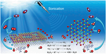 Graphical abstract: A novel multi-flaw MoS2 nanosheet piezocatalyst with superhigh degradation efficiency for ciprofloxacin
