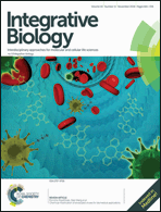 Graphical abstract: Front cover