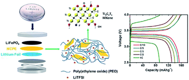 Graphical abstract: 2D MXene-containing polymer electrolytes for all-solid-state lithium metal batteries