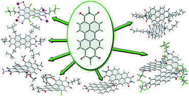 Graphical abstract: Progress in the synthesis of perylene bisimide dyes