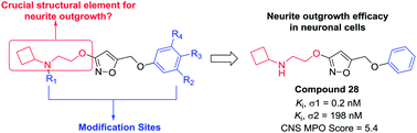 Graphical abstract: Discovery of N-cyclobutylaminoethoxyisoxazole derivatives as novel sigma-1 receptor ligands with neurite outgrowth efficacy in cells